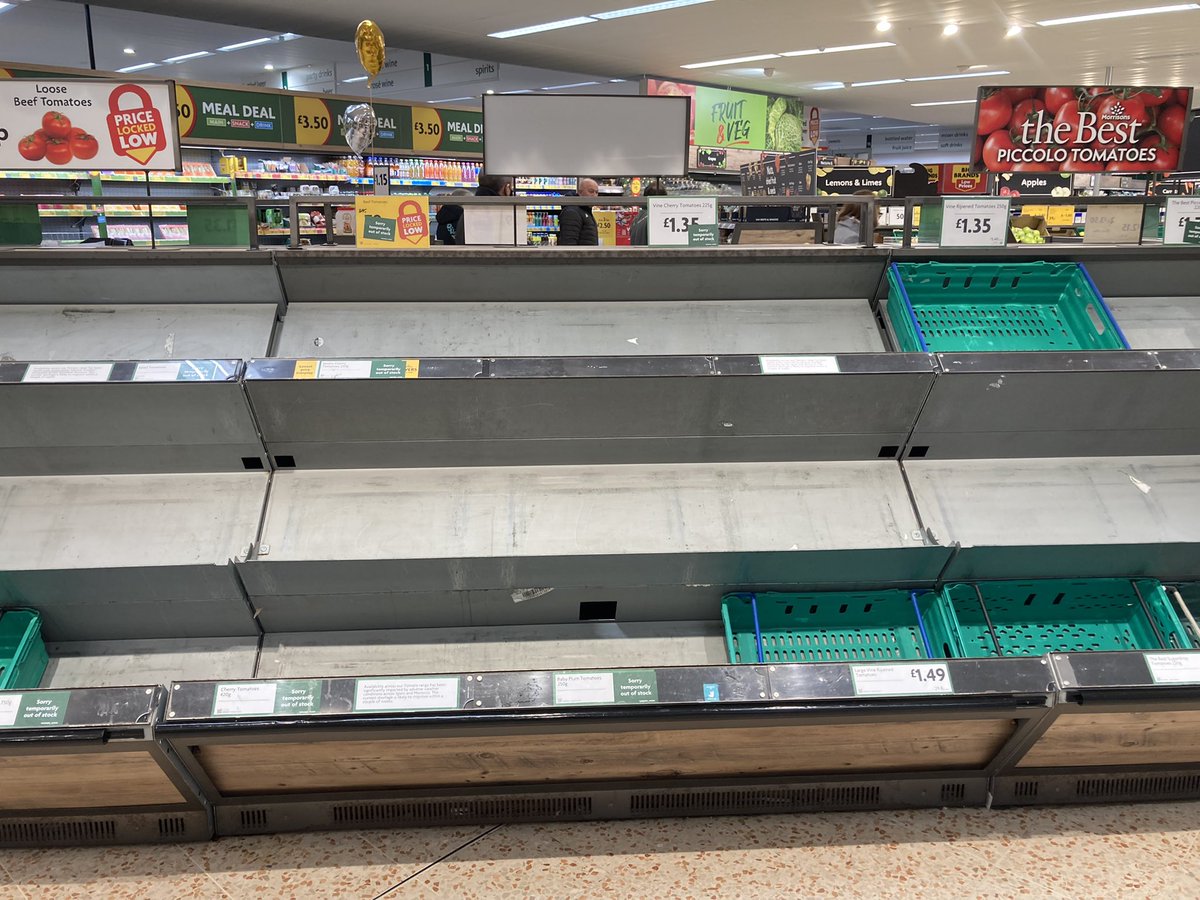 Trudi Davidson tweet media