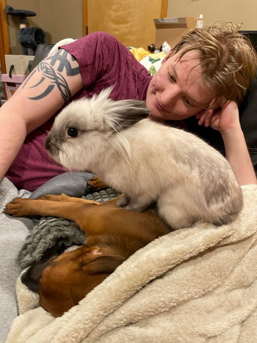 MistyUGC's tweet photo. @elfcosmetics Korra (dog), Azula (cat), and Ponyo (rabbit) 🤍 https://t.co/e9JgRgCeQK