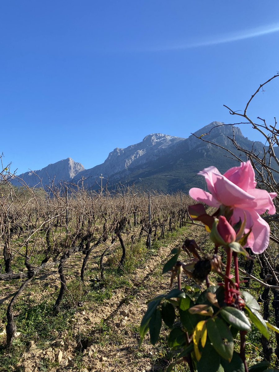 photoninab's tweet photo. Round two of #filming on location in Sardinia. More beautiful than I could have imagined.
#documentaryfilm #sardinia https://t.co/EvOqUemor1