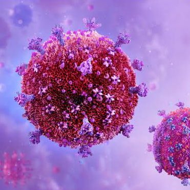 choquei's tweet photo. 🚨MUNDO: Cientistas anunciam quinto paciente curado de HIV após transplante de medula óssea. https://t.co/gOB9I72tZr