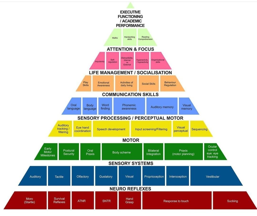 Schools need more training on this...a child who hates writing, is fidgety and easily flips.First step should be assessing the integration of primitive reflexes.These are the building blocks of everything else. #SEND #REFLEXES #SEMH