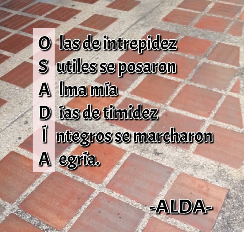 alda_pascuzzo's tweet image. Olas de intrepidez
Sutiles se posaron
Alma mía 
Días de timidez
Íntegros se marcharon
Alegría.

-ALDA-
#AporteAcróstico @acrstico2 
#15EnCascada #20febrero #OSADÍA