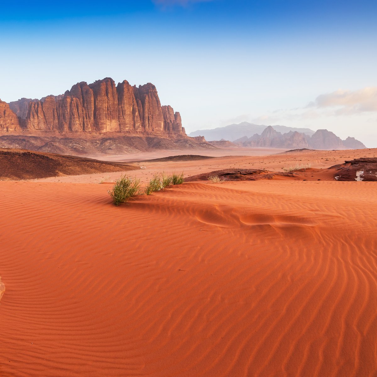 ExpediaUK's tweet photo. Tired of the same old trips spots? Let us take you off the beaten path and show you a side of the world you never knew existed:

Wadi Rum, Jordan
Zhangjiajie National Forest Park, China
Svalbard, Norway
Baobab Avenue, Madagascar

#ExpediaPic #Holiday https://t.co/ew3bC5yIel