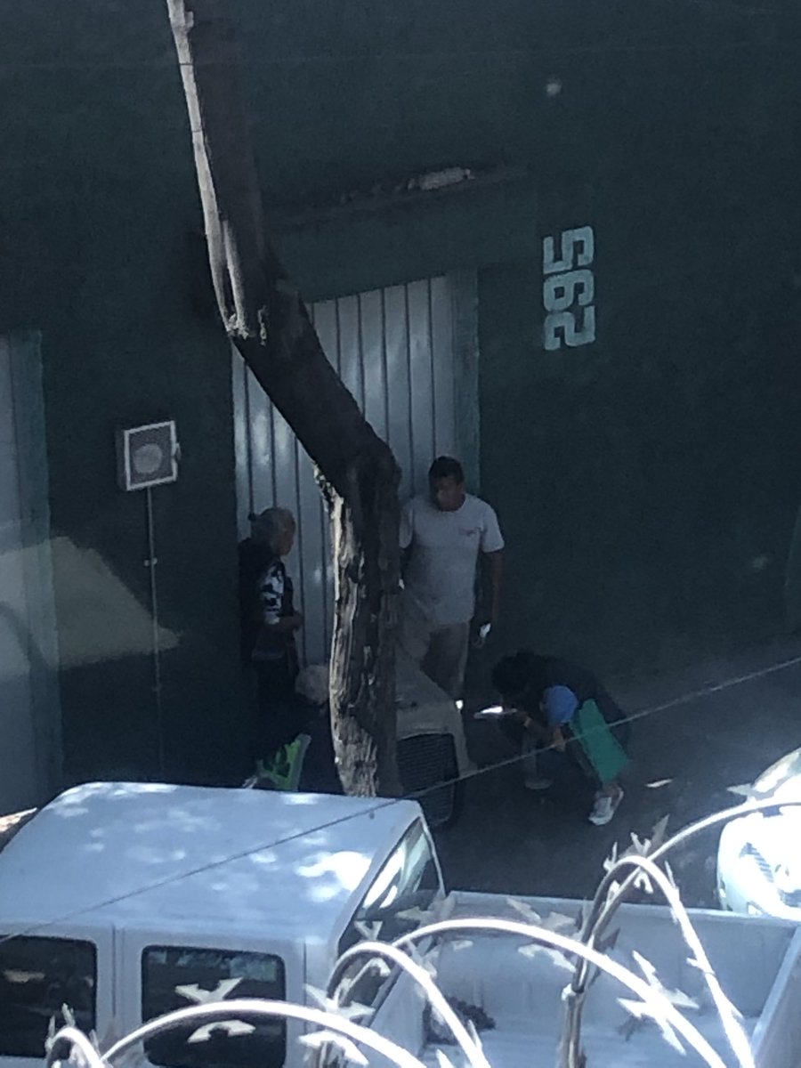 MarbzGP's tweet photo. ACTUALIZACIÓN. El perrito ya fue rascatado por la @PAOTmx , aunque a un principio se negaban, terminaron por entregarlo y en este momento ya está con el veterinario en revisión (mi jefe cubrirá los gastos de todo pues PAOT nos indica que ellos no tienen hospital ni refugio). https://t.co/bdGvss4m5z