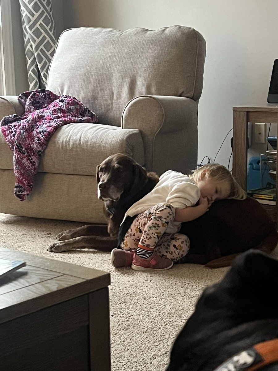 CourtScott333's tweet photo. National Love Your Pet Day is every day in this house. Love our boys. 🖤🤎 https://t.co/VZyP2VBS8t