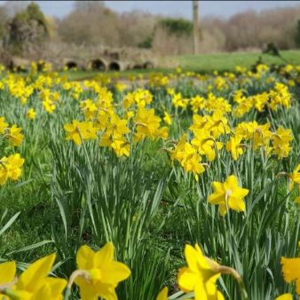 Alex Charrington tweet media