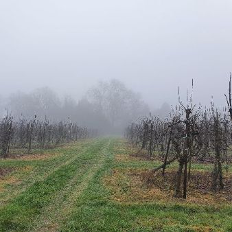 Chill out! Spring Is In The Air!  and some LOVEly offers - mailchi.mp/charringtonsdr…

#charringtonsdrinks
#sparklingcider
#spring
#britishfarming
#specialoffer
#Chill
#Chillout
#homegrown
#handpicked
#kentcider
#vintagecider
#gardenofengland
#britishbubbles
#Bigfarmlandbirdcount