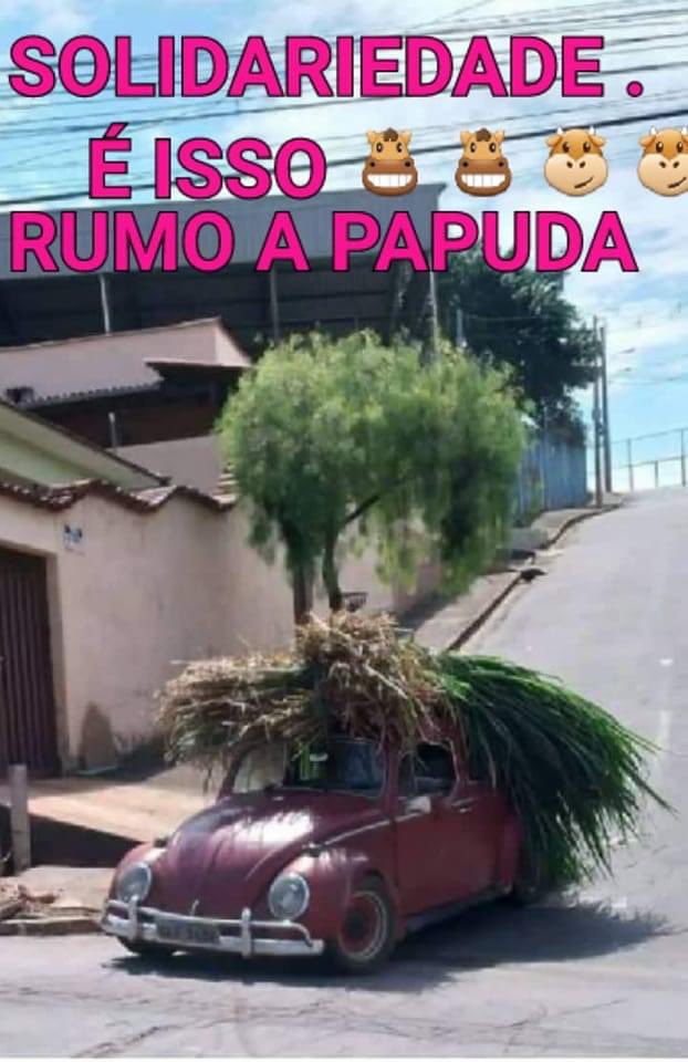 jelrezende's tweet photo. https://t.co/345RhbiDM7