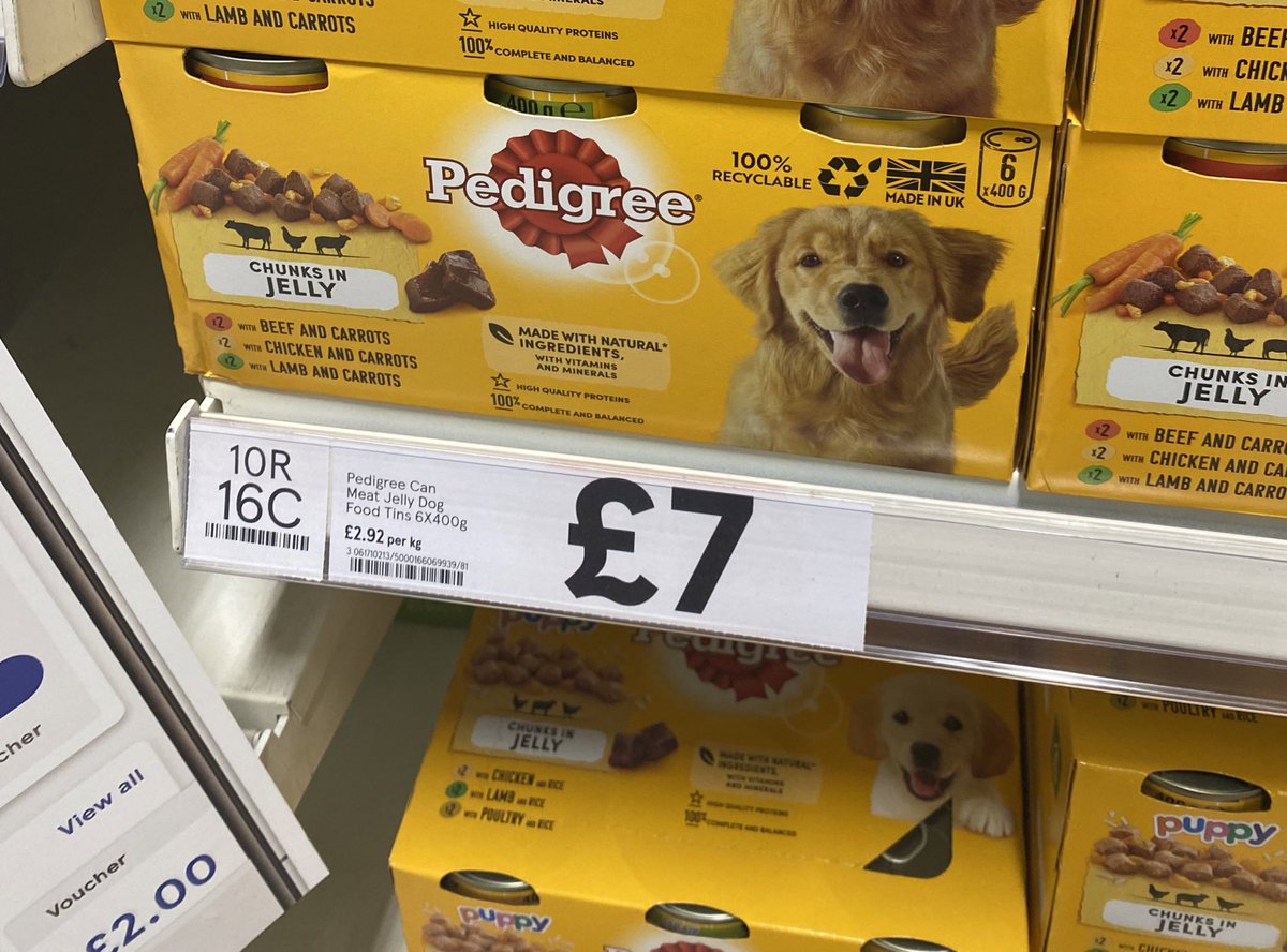 Tony Swanson 🏴🇺🇦🇨🇦🇬🇱🇵🇸 tweet media