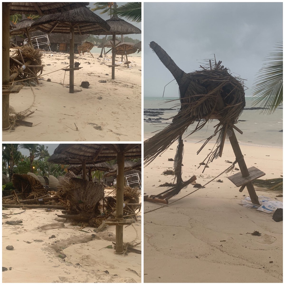 Laura Edwards tweet media