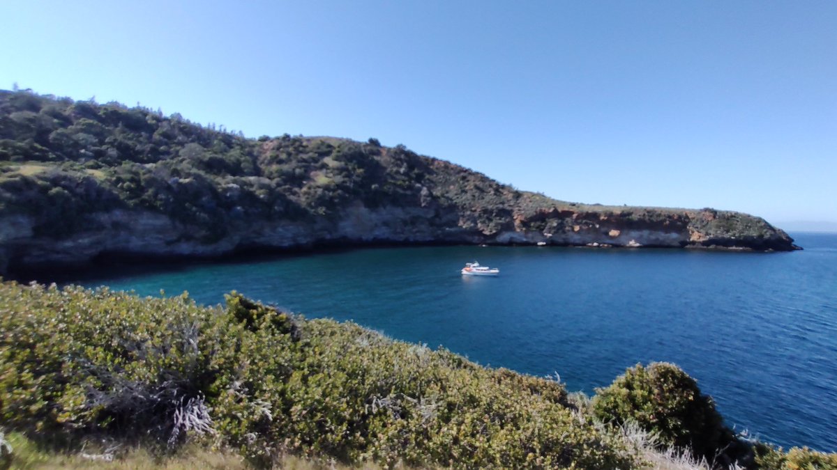 tom-brown-on-twitter-pics-from-santa-cruz-island-yesterday