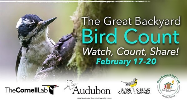 IassognaS's tweet photo. Don't forget to get out there today to take pictures of the birds in your neighborhood. https://t.co/aVhSG6V5qf