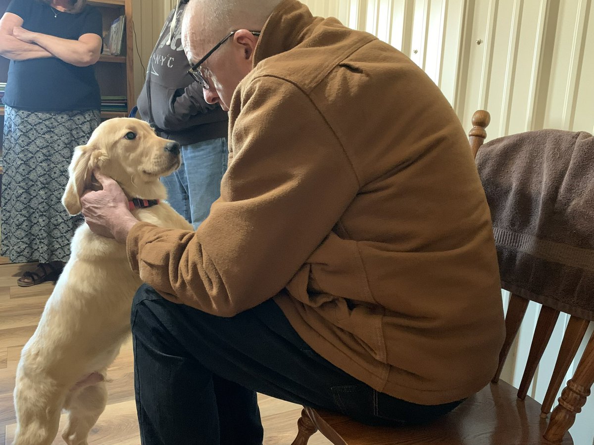 BigOzone's tweet image. In celebration of National Love Your Pet day, we welcome Fenway to our family. We adopted him this weekend. He is a 4-month old golden retriever. He loves playing, sleeping, chewing and of course the @RedSox