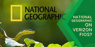 Looking for the National Geographic channel on #Verizon #FiOS? Learn where to find National #Geographic on your #TV.#NationalGeographic #VerzionFiOS.#NationalGeographicchannel.
😯👇
theispfamily.com/what-channel-i…