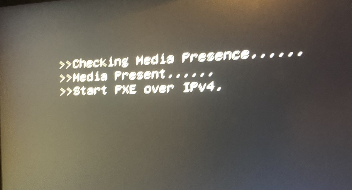 Slexi tweet media