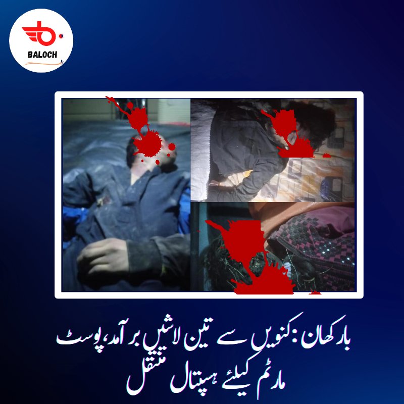 Baloch0127's tweet photo. بارکھان
ایک کنویں سے تین لاشیں برآمد،دو نو جوان لڑکے اور ایک لڑکی شامل
لاشین صوبائی وزیر سردار عبدالرحمان کھیتران کے گھر کے قریب سے ملی ہیں تاہم ابھی تک شناخت کا عمل مکمل نہیں ہوسکا ،پوسٹ مارٹم کیلئے لاشوں کو ہسپتال منتقل کردیا گیا ہے https://t.co/qiaAoR2YAL