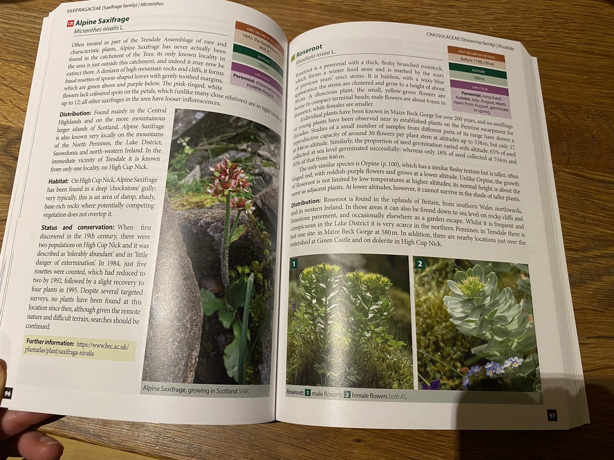 Watts_SH's tweet photo. So excited by this stunning book from @SummerfieldBook: #Teesdale's Special #Flora by Margaret E. Bradshaw. Featuring gorgeous photos, plenty of #arctic-#alpine rarities &amp; a reminder to watch where you step when botanising! #botany @TeesdaleFlora @PrincetonNature @WILDGuidesBooks https://t.co/d9TbCdZrK0