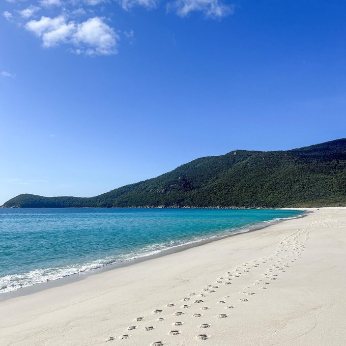 More of this in 2023, please ☀️🌴🐚&nbsp;  Cheers to our mate IG/abbeycholmes for capturing this perfect snap<a href="/tag/seeaustralia"class="tags"><span>#seeaustralia</span></a><a href="/tag/comeandsaygday"class="tags"><span>#comeandsaygday</span></a><a href="/tag/wilsonspromont"class="tags"><span>#wilsonspromont</span></a>