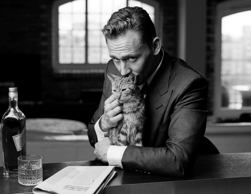 TomHidFansLATAM's tweet photo. Recuerden que hoy es #DiaInternacionalDelGato y nuestro querido Tom tiene esta sesión con este adorable gatito 💕 🐱🐈
#TomHiddleston #tomhiddleston #hiddles #hiddlescat #hiddleslove #hoddlestoners #welovetomhiddleston https://t.co/uruToV8o4o