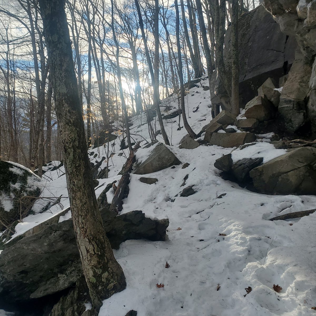 HFSYecology's tweet image. This is vacation week for many of our teachers and students. We hope everyone gets to spend some time wandering through nature, letting their minds roam far and wide!
#nature #NewEngland #febbreak