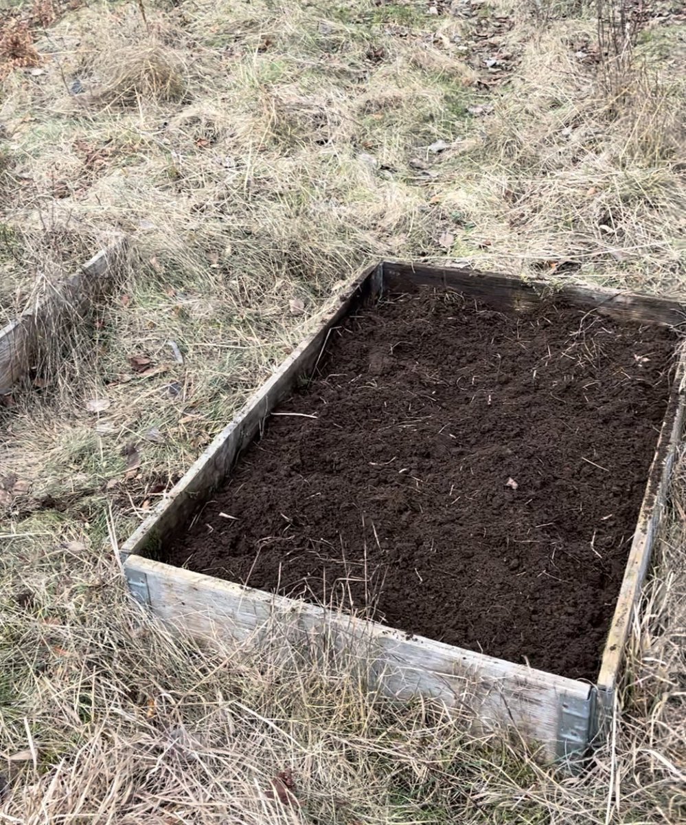 Ninjaister's tweet photo. I går gjorde jag i ordning två pallkragar...jag tror att jag kommer att stanna länge i Skåne. https://t.co/qZn5yStRY2