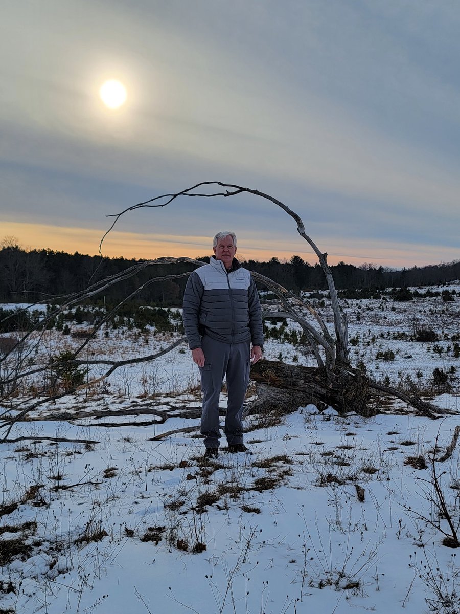 Dan Lucas tweet media