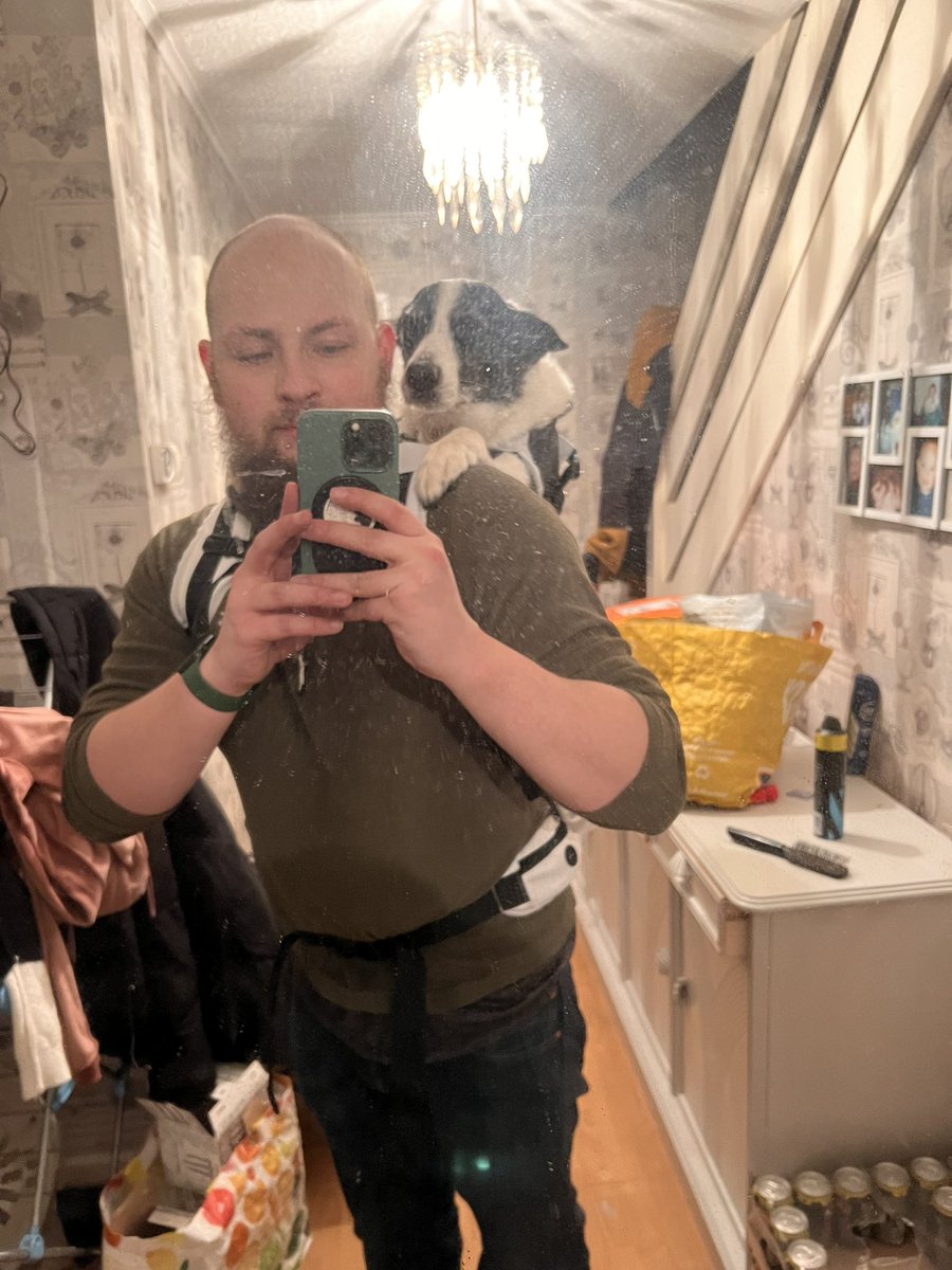jrmd_'s tweet photo. Super excited to take my pup on longer journeys even when her old legs can’t go on; thanks @K9SportSack  @PodgyPawsShop https://t.co/DjJIubRh6Q
