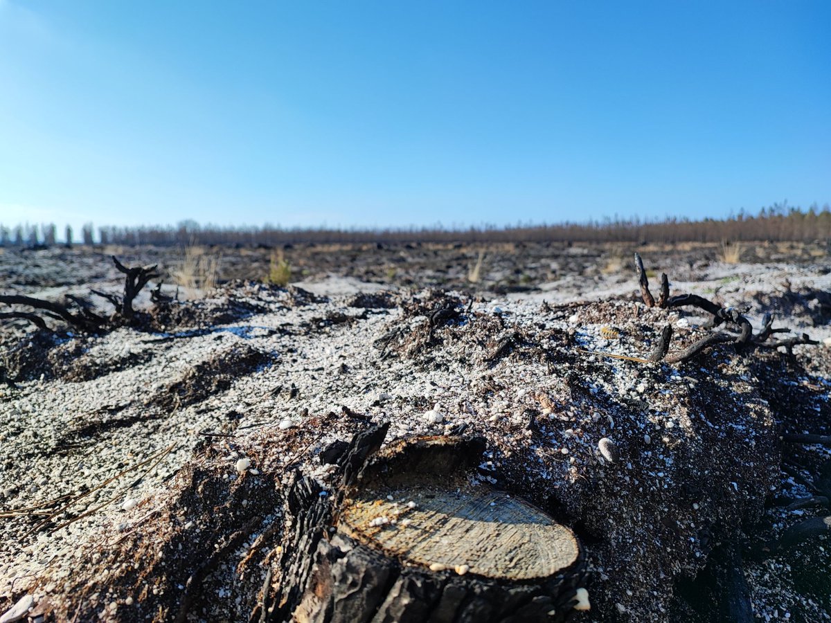Pour y parvenir il est primordial de concentrer les efforts de chacun sur les 4 piliers de la protection des #forêts contre les #incendies : 
1⃣ Prévention
2⃣ Prévision
3⃣ Lutte
4⃣ Sensibilisation aux risques
Battons ENSEMBLE nous contre les #feuxdeforêt 🔥.
#LaForêtEnsemble 4/4