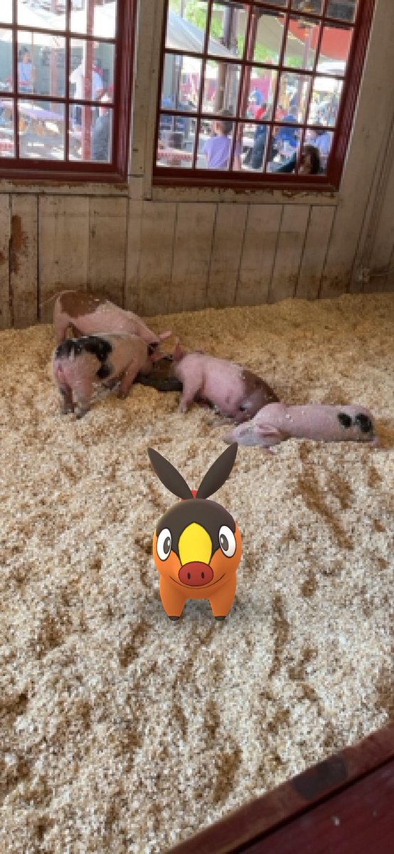 A_T_cuh's tweet photo. Pokémon are real https://t.co/8NO0ynEUqd