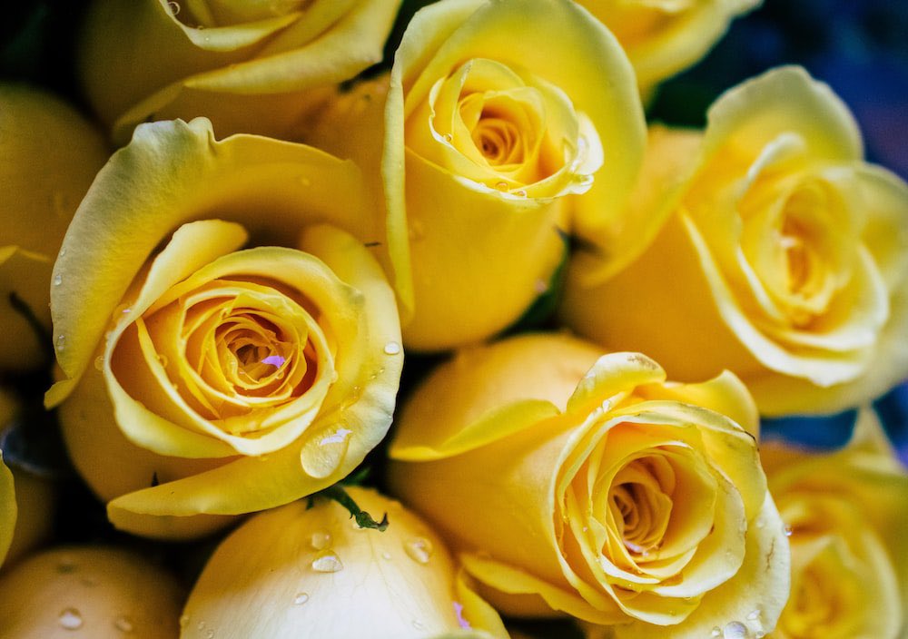 APersonWithAnO2's tweet photo. For Nicola Bulley.
For her children.

And for every missing person who has not yet been found. https://t.co/gEWvfO5G50