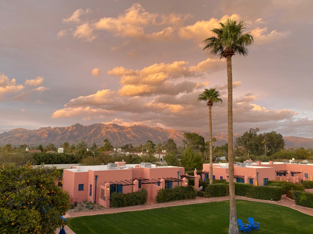 Twilight over the Santa Catalina Mountains.
A beautiful view from the grounds of the Arizona Inn.
