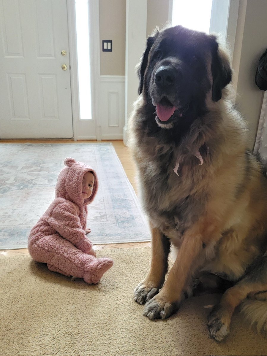 Lauren Chen tweet media