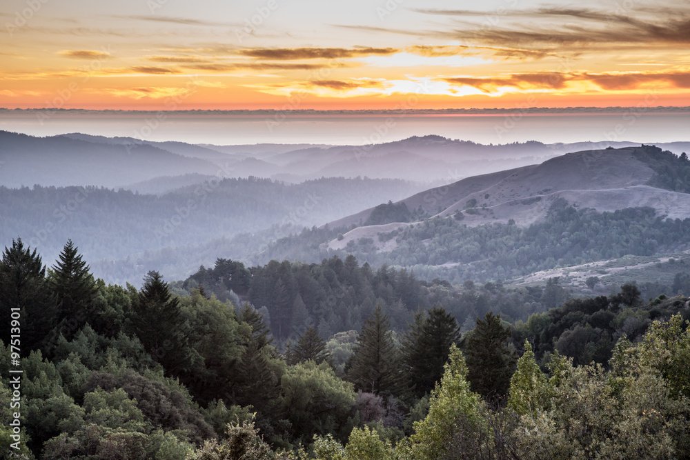 Ethanfracisco's tweet photo. If you have never been to the Bay Area you could easily be unaware that half of it looks like this, not just sprawling urban areas https://t.co/LTfQazbEK2