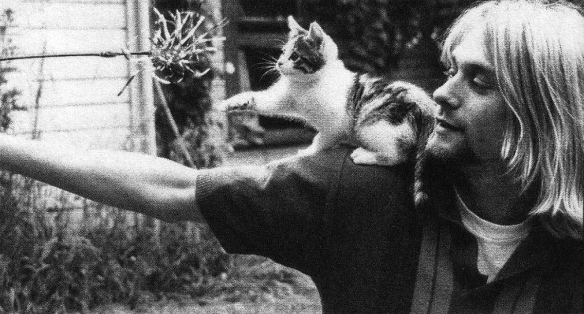 DEV1LSDETA1LS's tweet image. happy birthday sweetheart ilysm