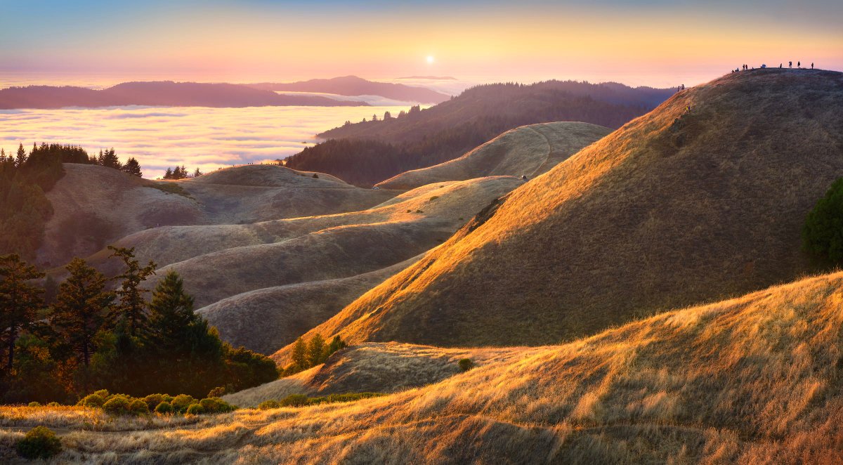 Ethanfracisco's tweet photo. If you have never been to the Bay Area you could easily be unaware that half of it looks like this, not just sprawling urban areas https://t.co/LTfQazbEK2