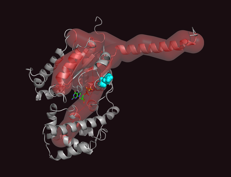 scisignal's tweet photo. Mutations in a conserved glutamine residue can confer multiple activation states in alpha subunits of #Gproteins, according to experiments that suggest these proteins do not function as simple on-off switches. @UNC_PHCO @lifescientwists #StructureFunction https://t.co/WokuGQMhw8 https://t.co/9e9WAbWY9y