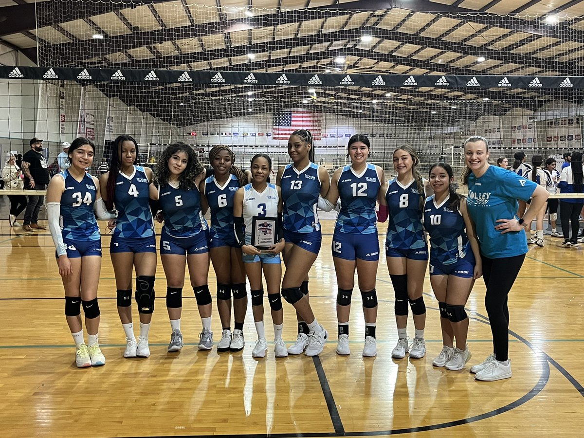 VolleyStarVBA tweet media