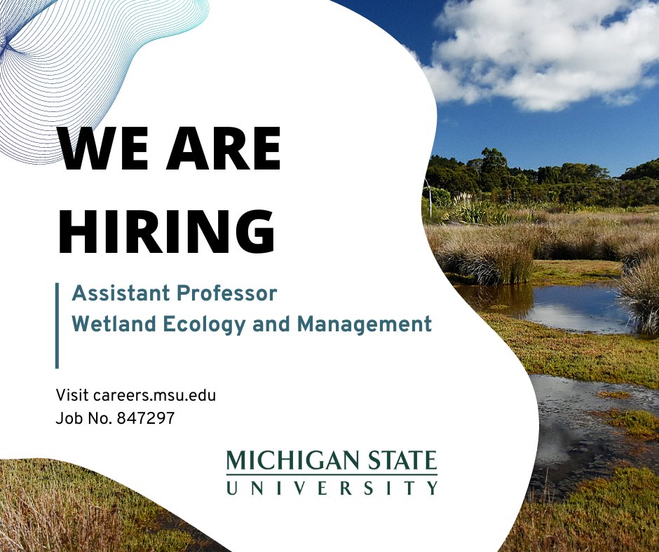 MichiganStateFW's tweet photo. We're hiring an Assistant Professor of Wetland Ecology and Management! Review of applications will begin on March 20, 2023.

https://t.co/2UItbiXCw2 https://t.co/4qY9DR3U49
