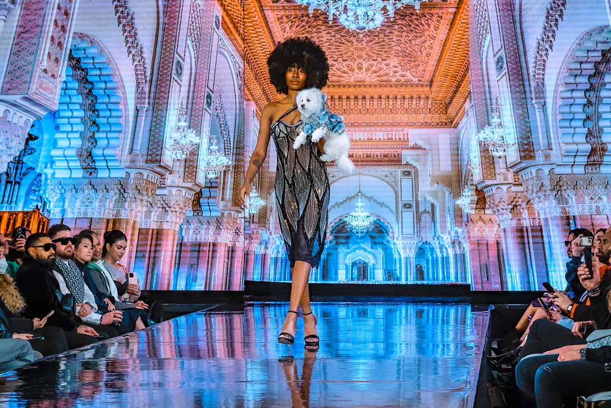 AnthonyRubio01's tweet photo. #FashionWeek
#NYFW
Anthony Rubio
Women's Wear & Canine Couture
New York Fashion Week
Runway
Photo by Manonce
#NYFW2023 #DesignerNYC #ModelNYC #DogFashion #DogModel #FashionWeek2023 #WeeklyFluff #CFDA #Runway360 #lfw #PetFashion https://t.co/5sckqrXgzW
