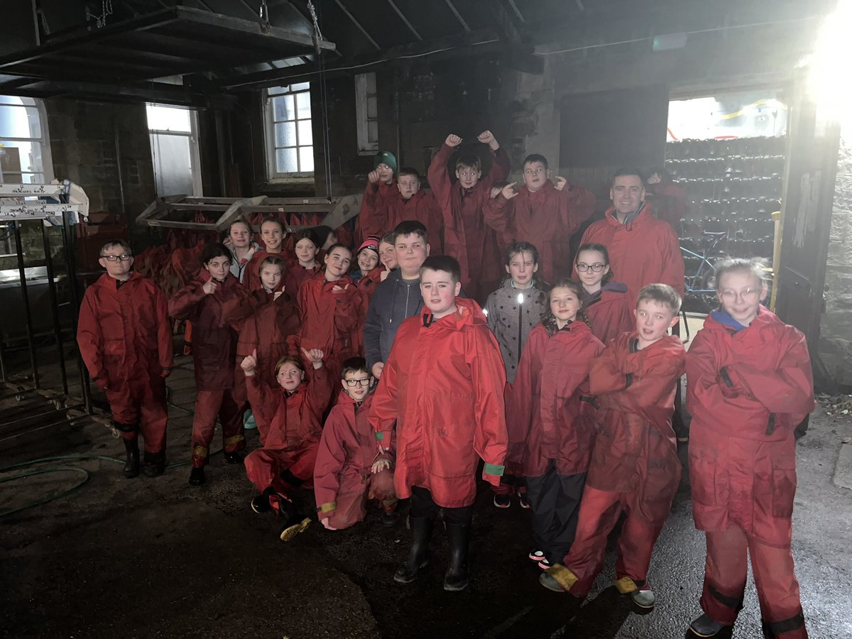 Mayfield Primary tweet media