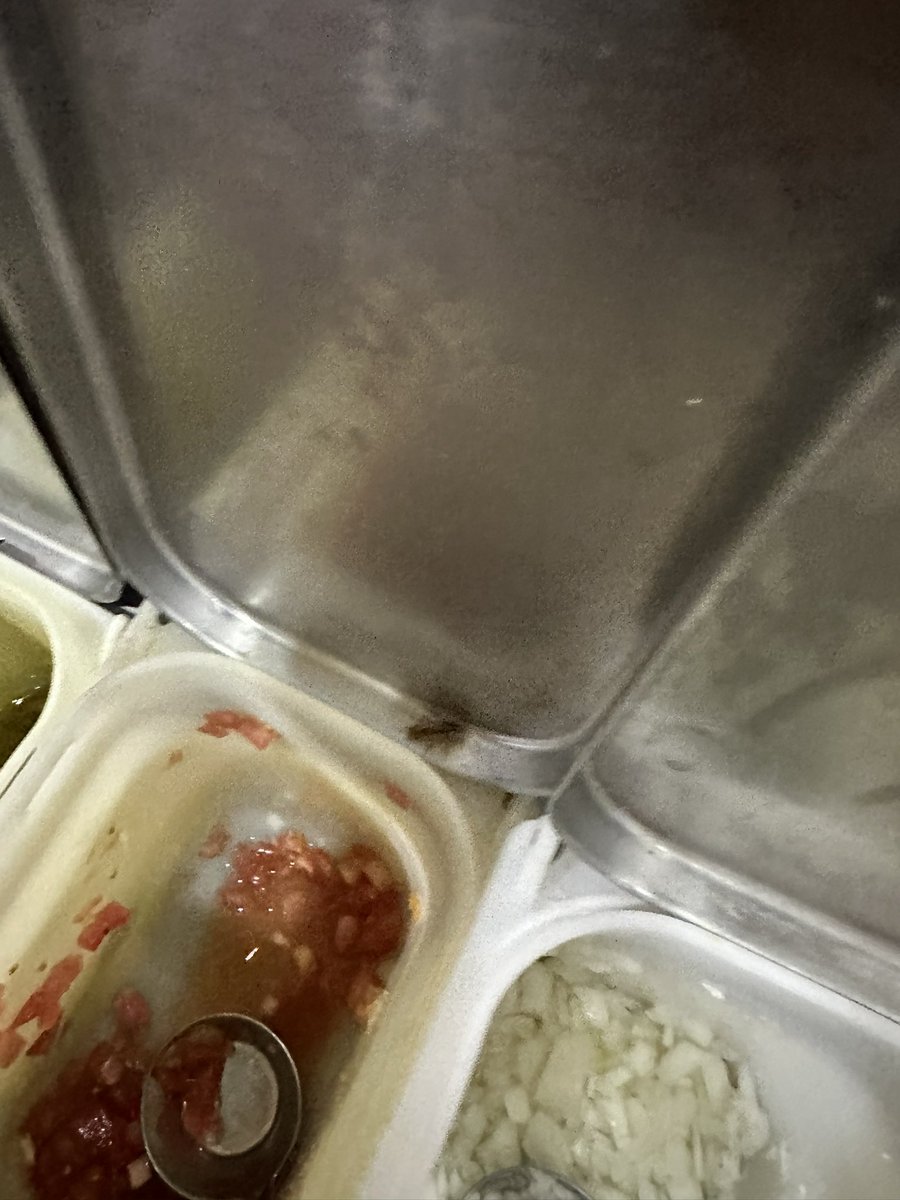 Denuncias_ZMG's tweet photo. Así el área de alimentos en Cinépolis de Plaza Ciudadela.
El usuario que reportó menciona que la empresa ya se comunicó con él y aseguran que no volverá a ocurrir.

En redes sociales circula otro vídeo del área de comida infestada de cucarachas, pero en el complejo de Galerías. https://t.co/Hcti1ebKds