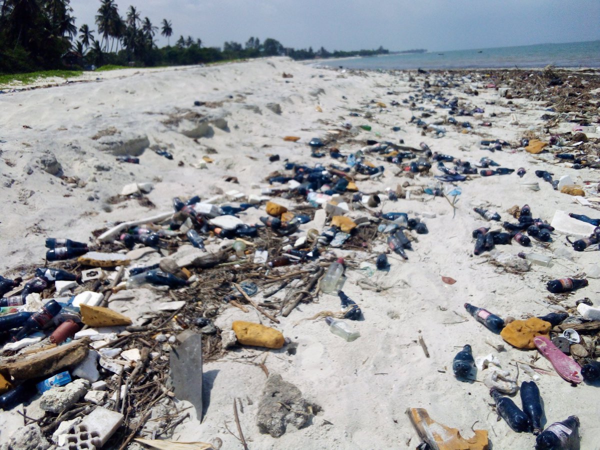 Incase you have no idea, this is what is already here. The Msasani shoreline in Dar es salaam Tanzania, We better do something now.
#BeachAction
#Sustainability
#BeachCollective