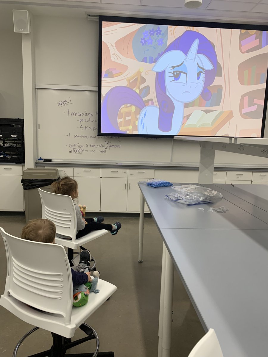 HandsOnSciABE's tweet photo. When daycare is closed… but mommy still needs to make sure everything is set up for #ABE304 lab tomorrow… you get to watch My Little Pony on the big projector screen! https://t.co/alxfa1ygo0