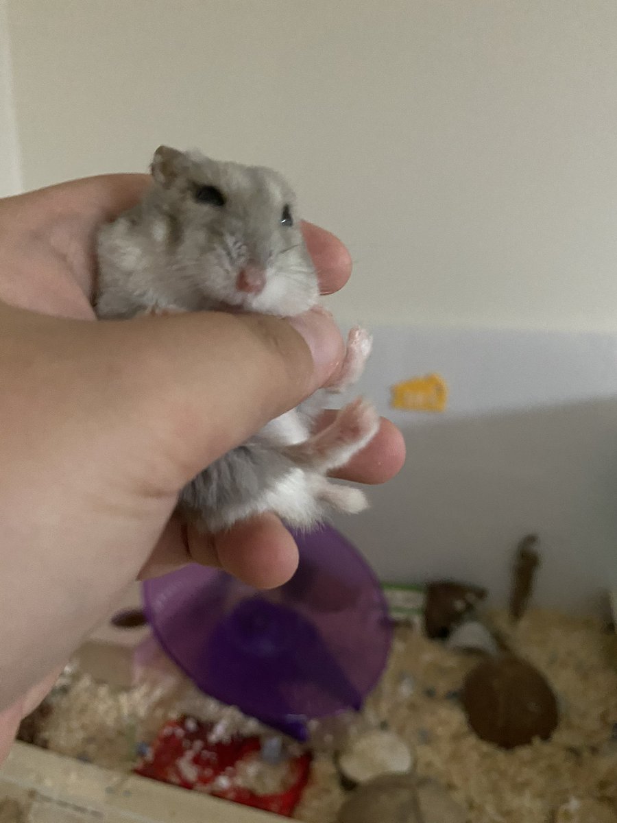 여어 시간있어?
아껴써.