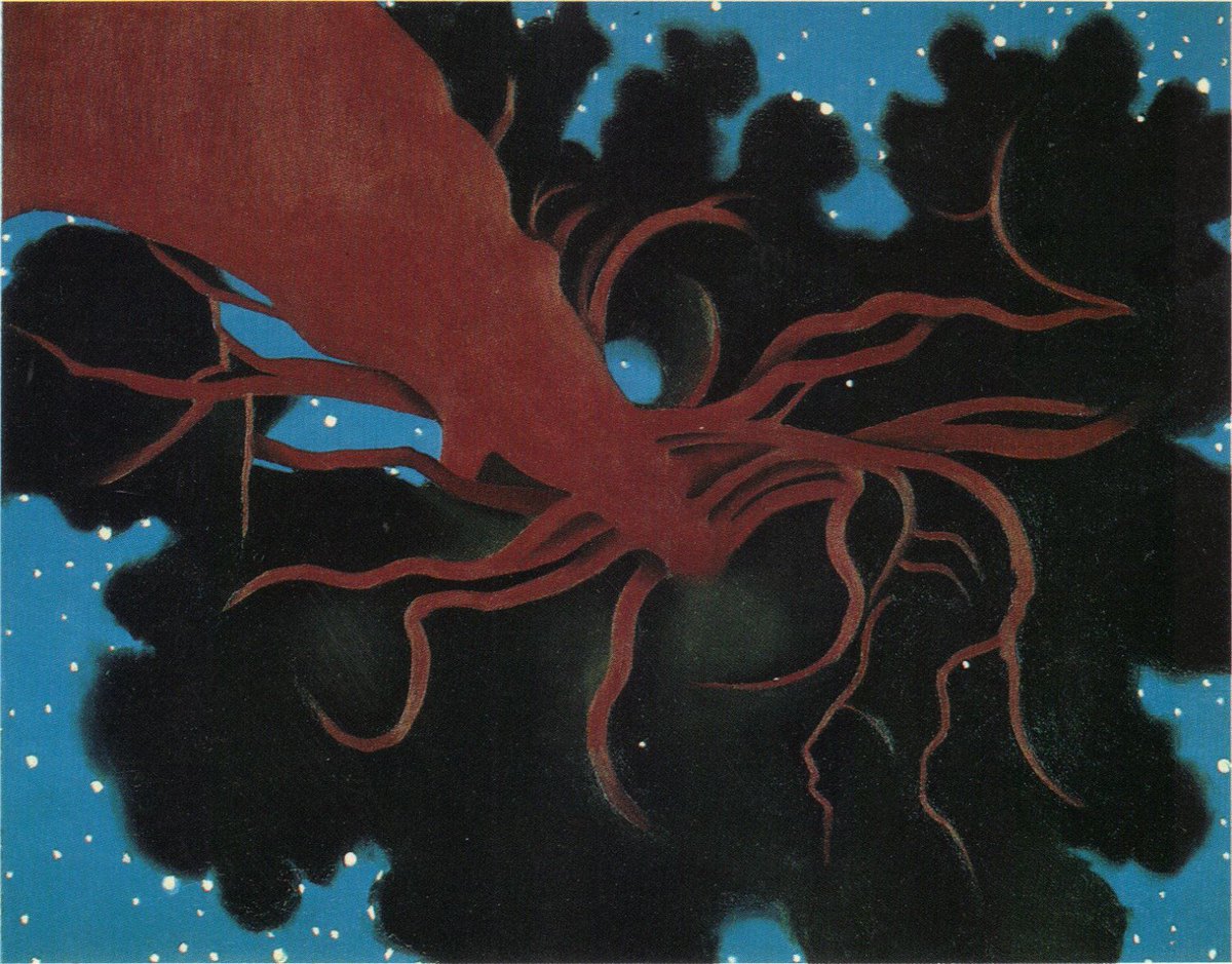 womensart1's tweet photo. "I often lay...looking up into the tree, past the trunk and up into the branches. It was particularly fine at night with the stars above the tree" -
Georgia O'Keeffe, The Lawrence Tree,1929 #WomensArt https://t.co/rSiOD8Tjhr