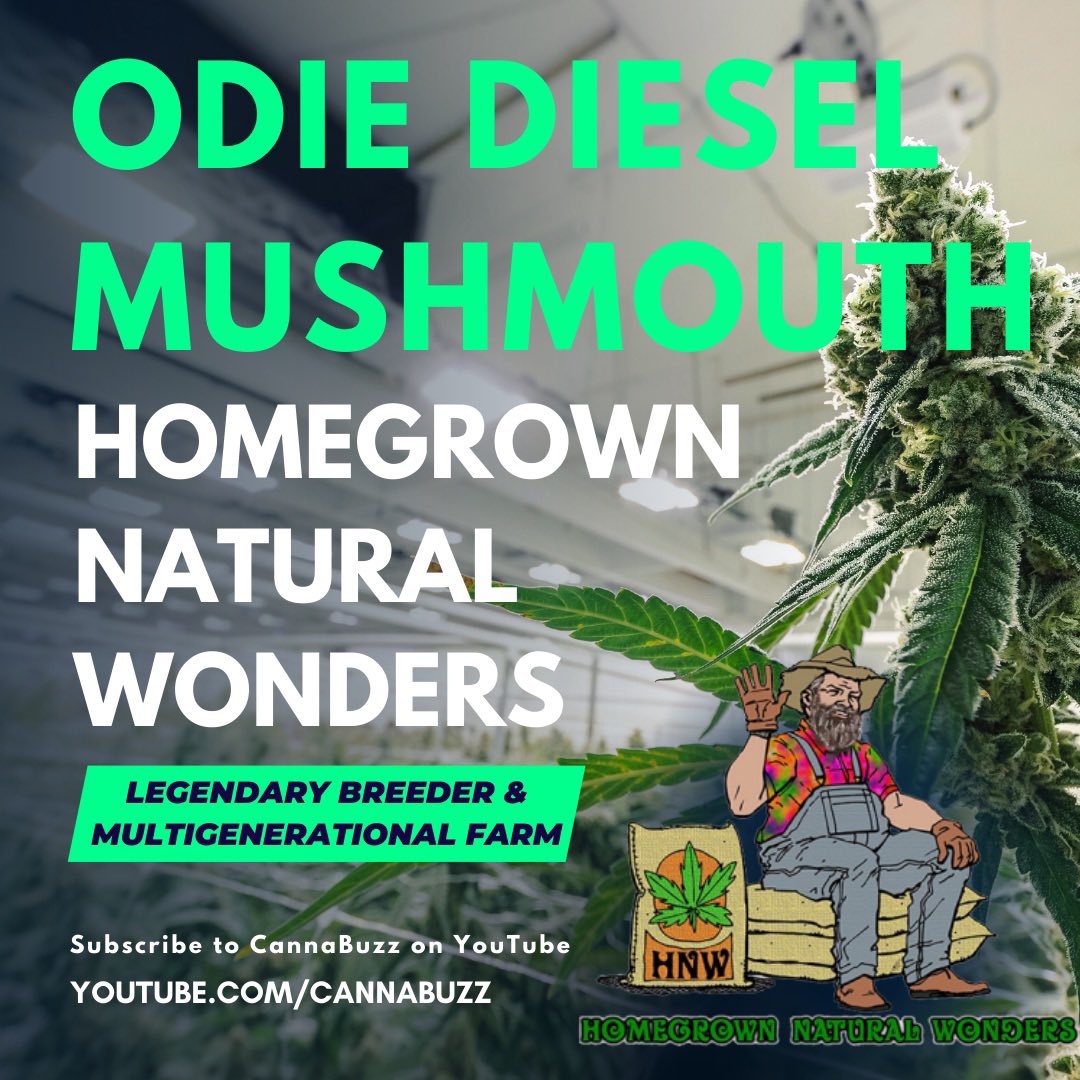 CannaBuzz tweet media