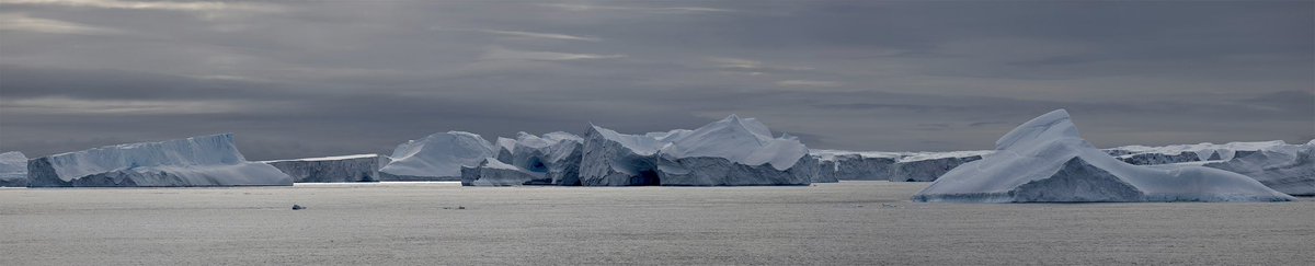 View from my cabin right now. Adelie land, Antarctica on board @ponant_cruises Le Commandant Charcot.