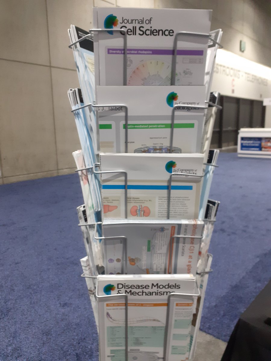 Co_Biologists's tweet image. Last chance to pick up @J_Cell_Sci and @DMM_Journal posters at #BPS2023 - great teaching aids or simply to decorate your lab! Collect Tuesday 10am-4pm at booth 201 in the exhibition hall.