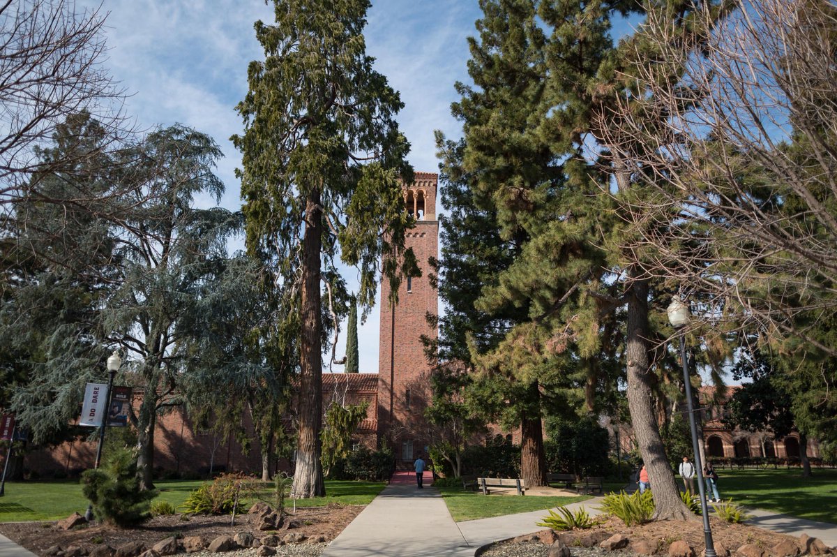 ChicoState's tweet image. The leaves have fallen down on campus and the flowers are beginning to bloom in the last days of winter. #ThisIsChico #ChicoState 

📸: Photos by @JasonHalley_CSU