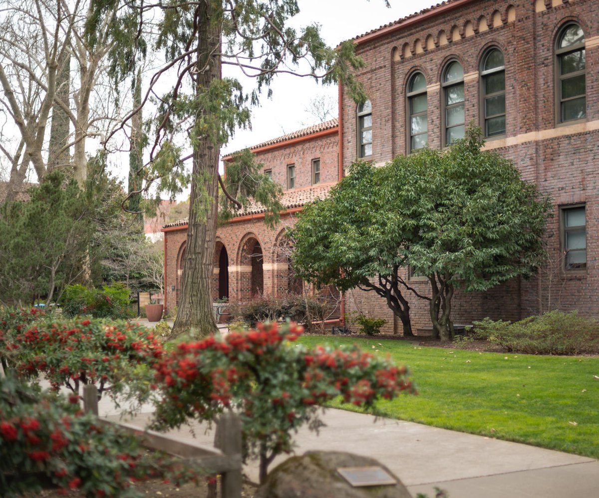 ChicoState's tweet image. The leaves have fallen down on campus and the flowers are beginning to bloom in the last days of winter. #ThisIsChico #ChicoState 

📸: Photos by @JasonHalley_CSU